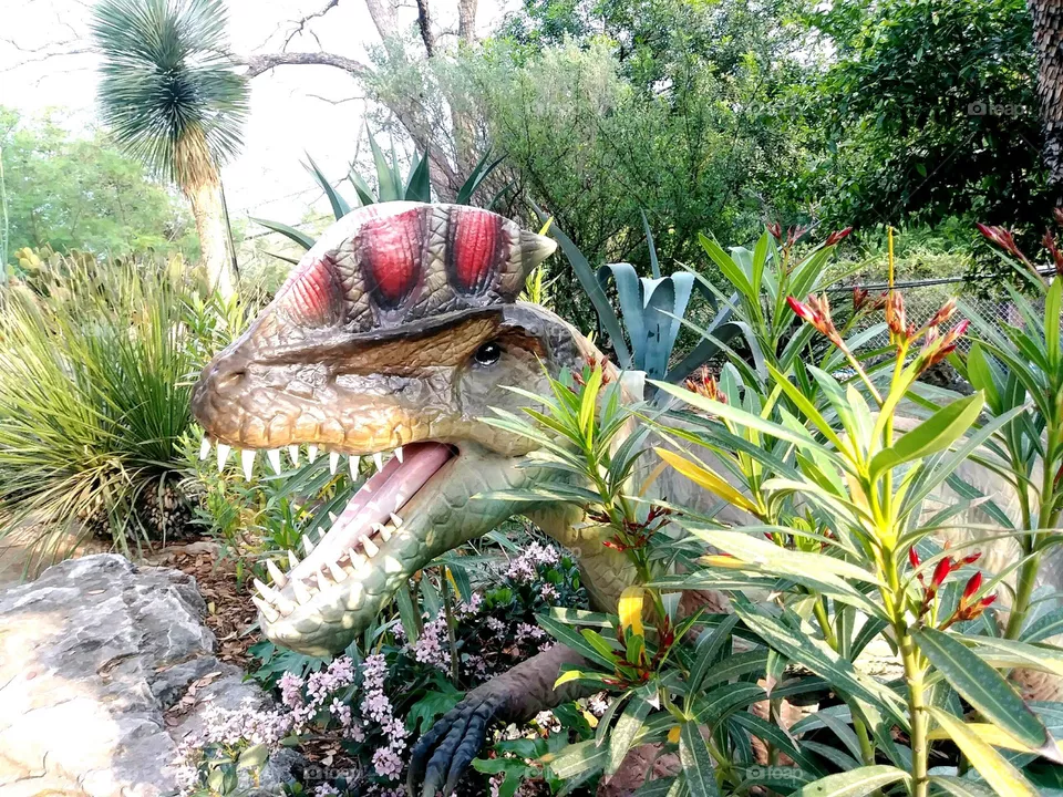 Dinosaur