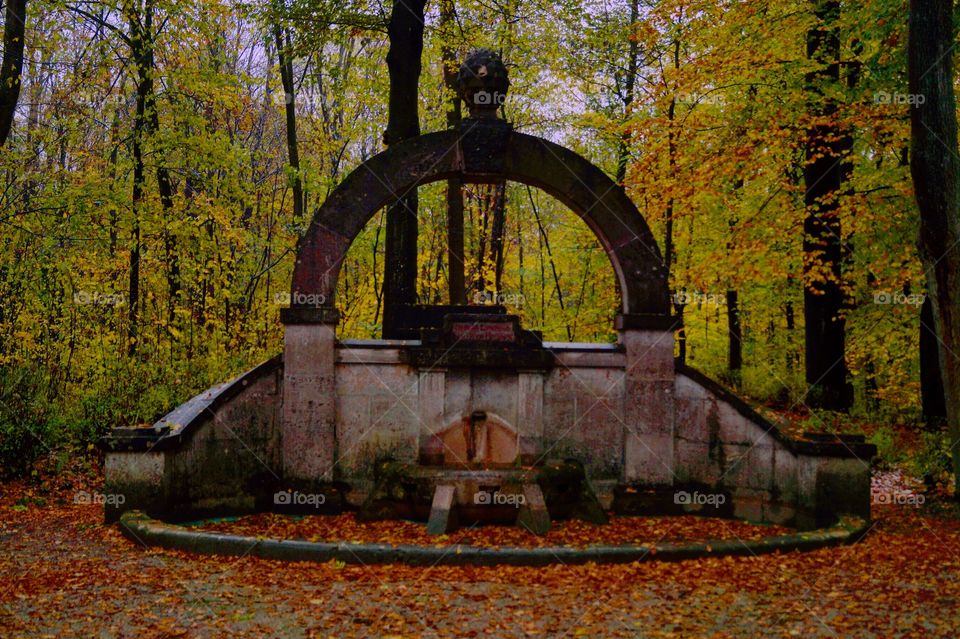 Brunnen im wald