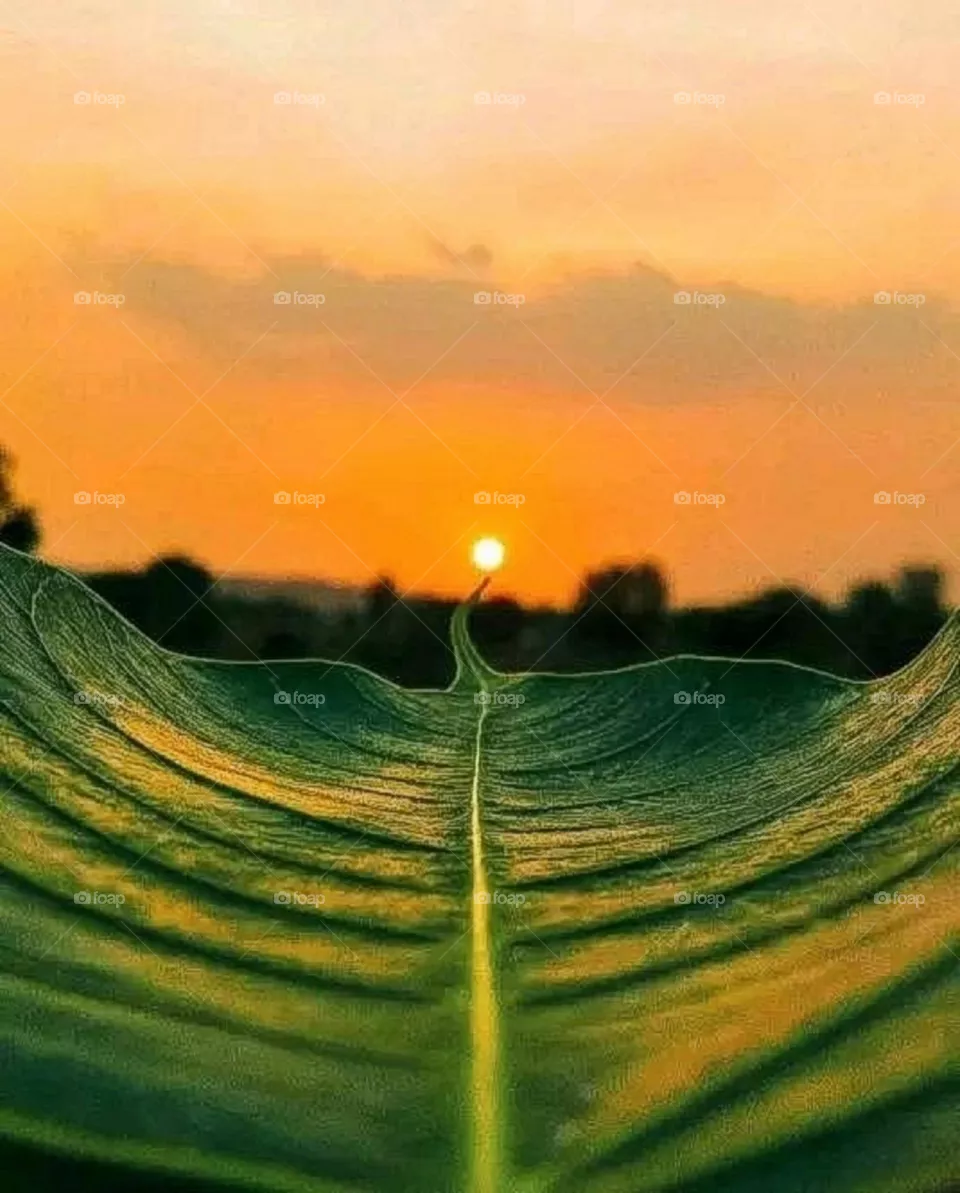 A most beautiful and attractive view of the sunset.