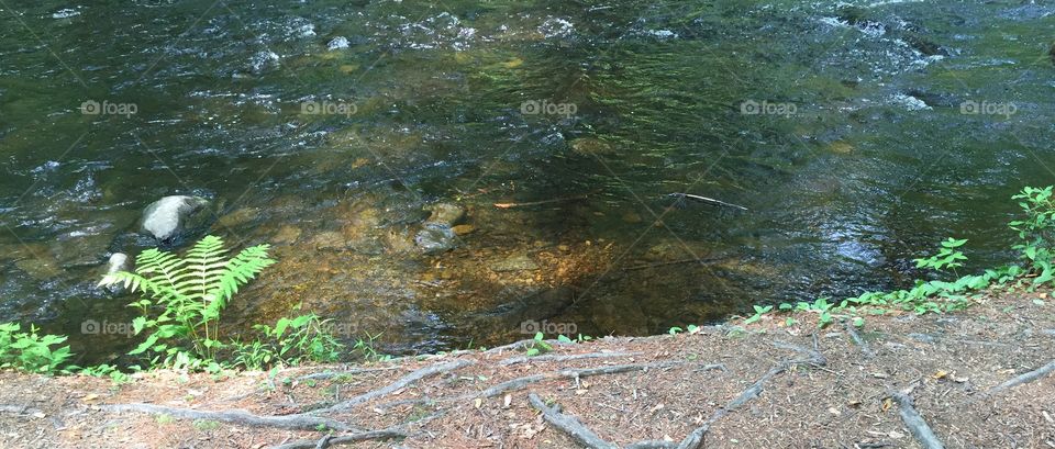 Water, Nature, No Person, River, Landscape