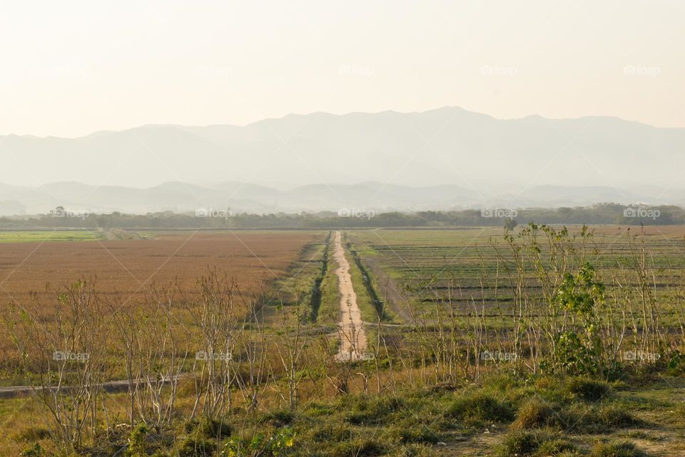 Countryside