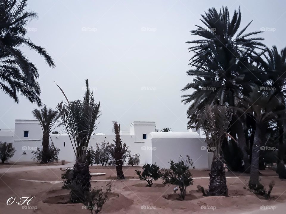 Architecture on the island of Djerba
    A picture of a traditional dwelling in the middle of a field where irrigated cultivation of trees and olives is practiced