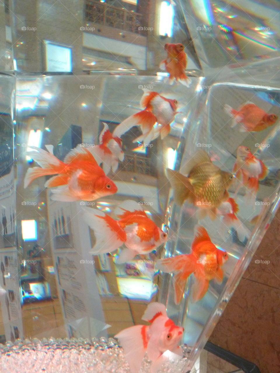 red fishes in a shop in Okinawa