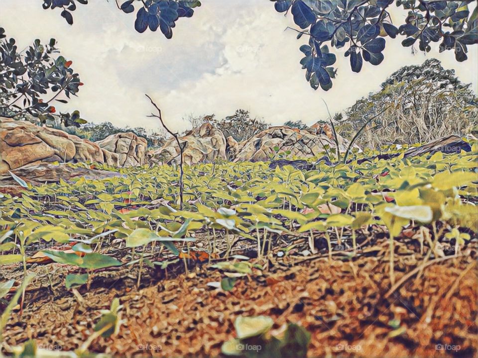 Our point of view can change according to the angle we look at things!!! ;)