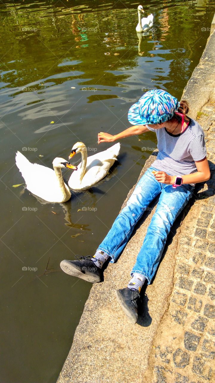 girl and swans