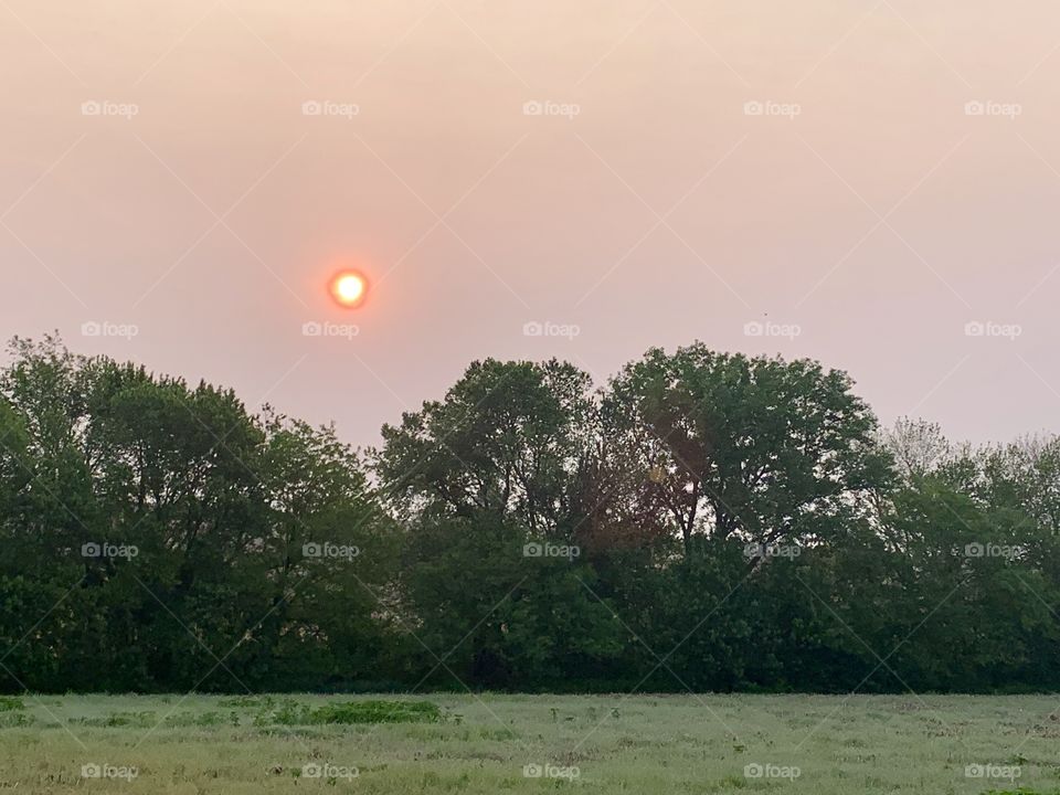 Red sun in a murky sky over treetops along a grassy field in spring (landscape)