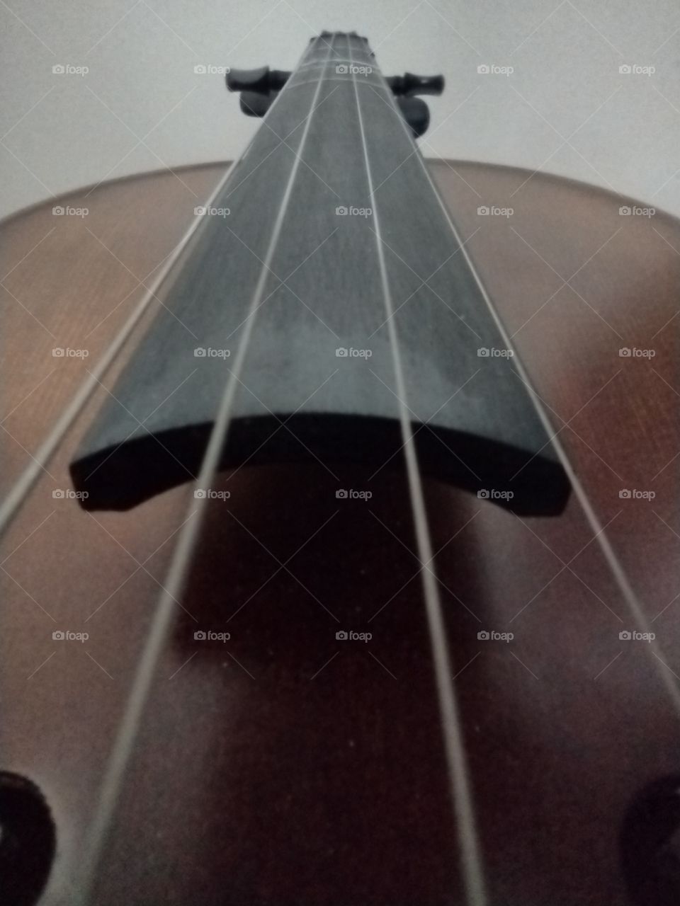 Unfiltered, beautiful, lovely close-up of violin strings