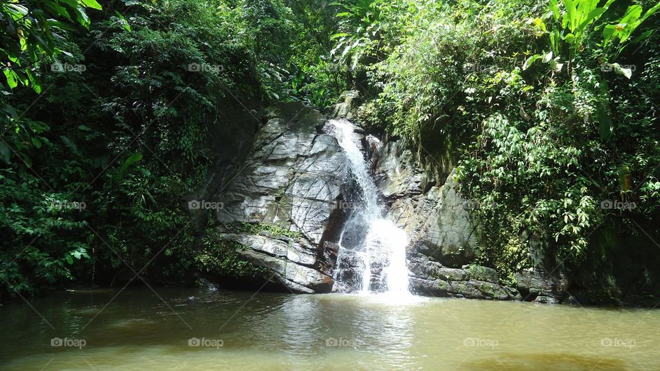 Castara Waterfall, Tobago