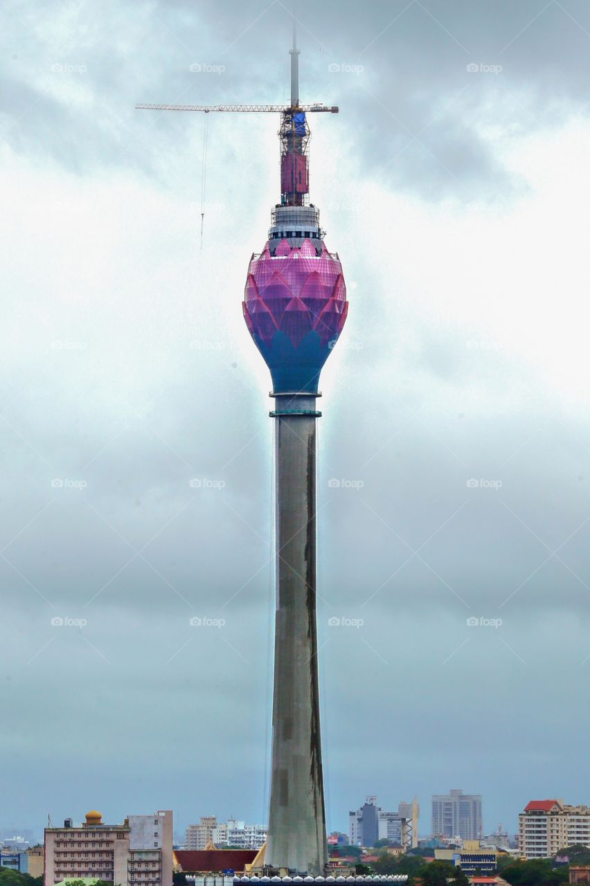 water lilly tower  |  sri lanka  |  morning click |  colombo graphy  |