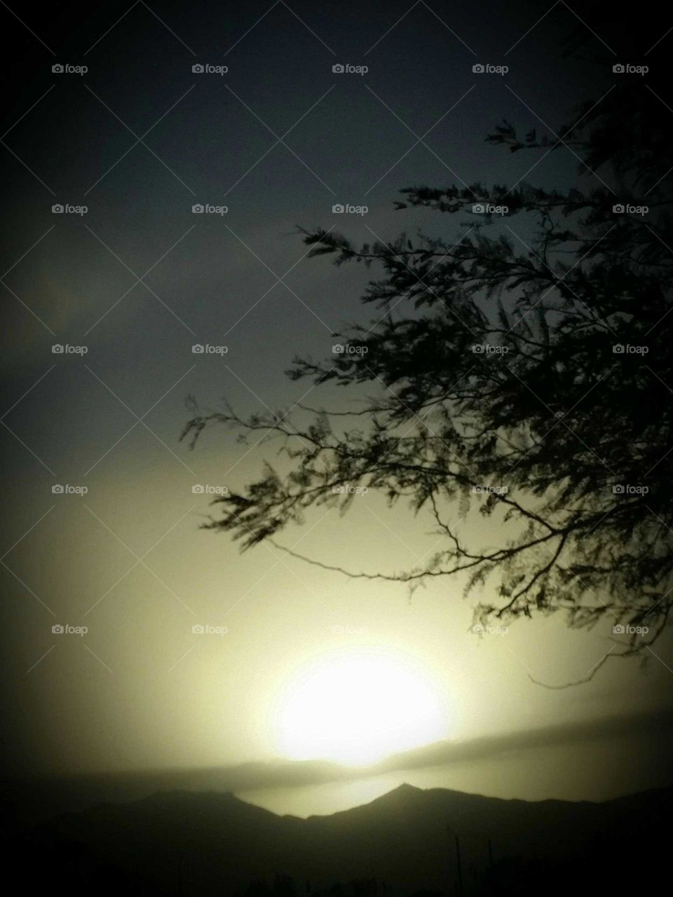 TRANQUIL SUNSET . A CALMING EFFECT .  A TREE TO COMPLETE , THE BEAUTY BEFORE ME .  A MIXTURE OF COLORS.  BLENDED TOGATHER . AS IF WITH A FEATHER . MAJESTICALLY PRETTY . DEFINATELY GODLY .