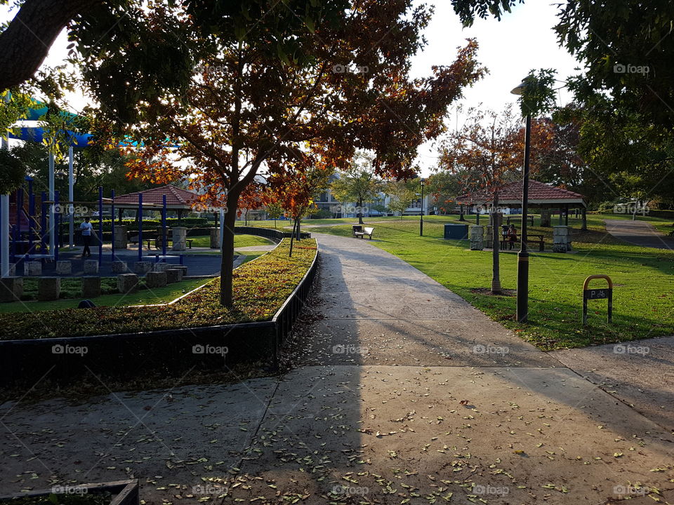 A park in northbridge