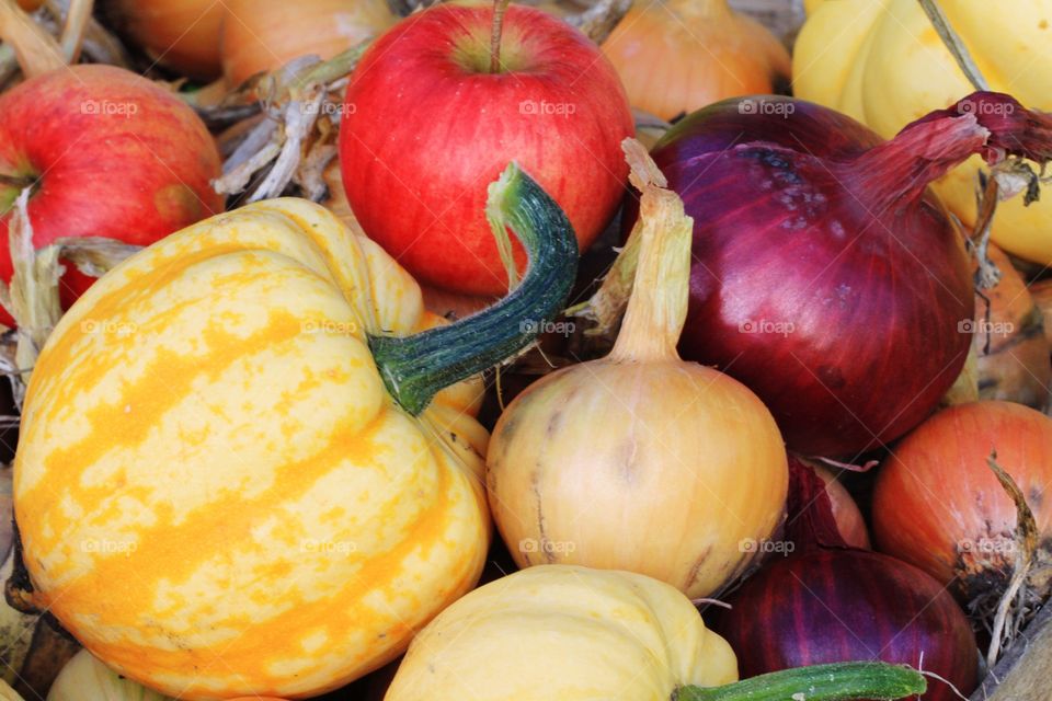 Harvested onions, apples and squash in a pile of produce.