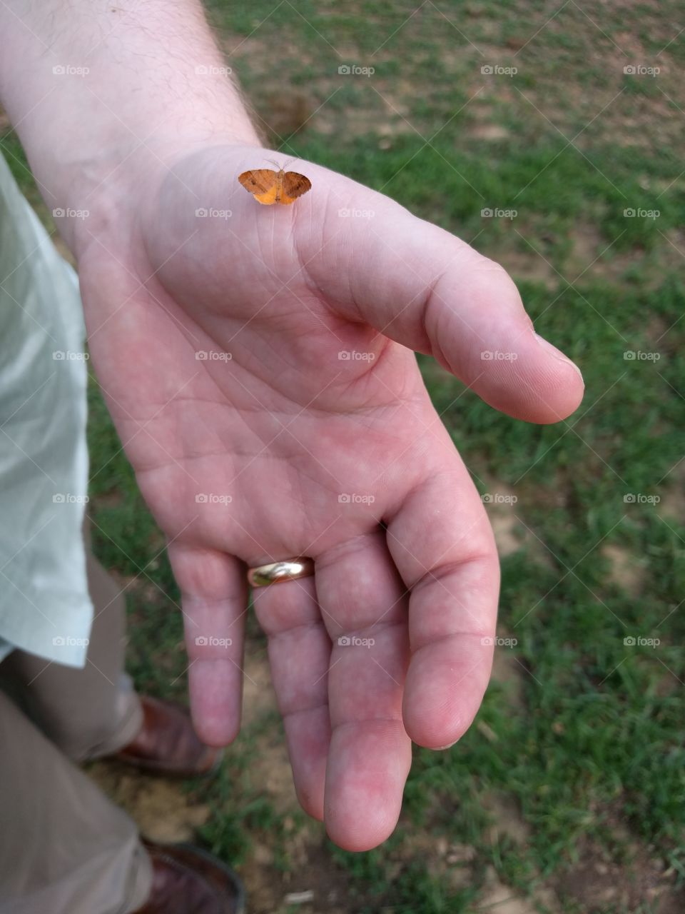 tiny butterfly on hand