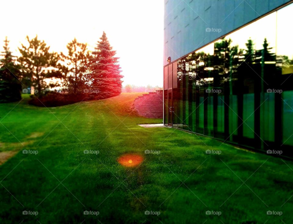 side of building with tree