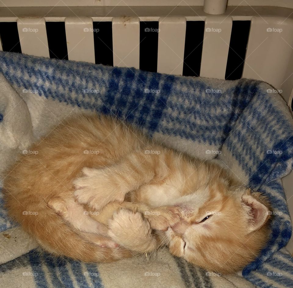 Theodore being cute. 