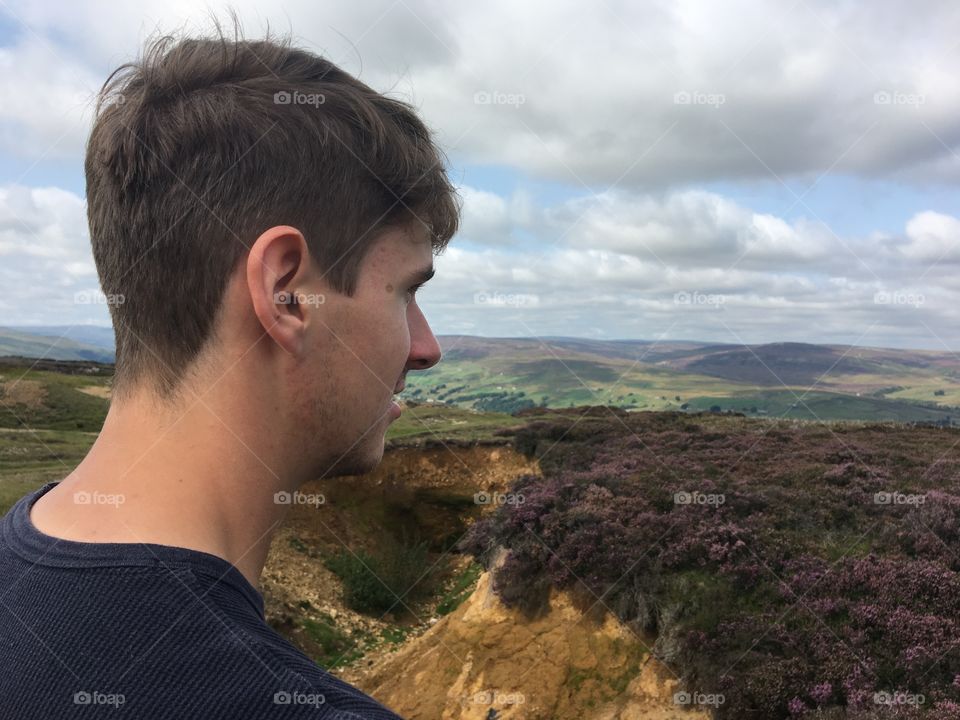 Wild heather growing on the moors 