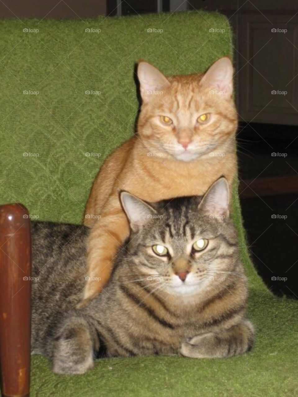 Once in a lifetime pose