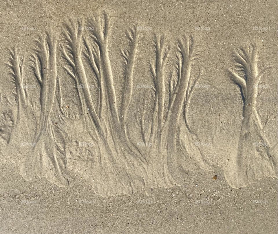 Ocean drawings on the beach 