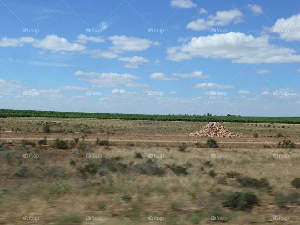 Dry Season Outback 