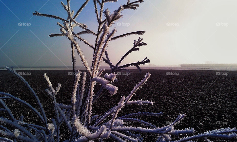 winter farmland sun ice by woodyyeah