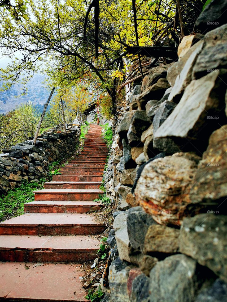 Stairs to nature's beauty