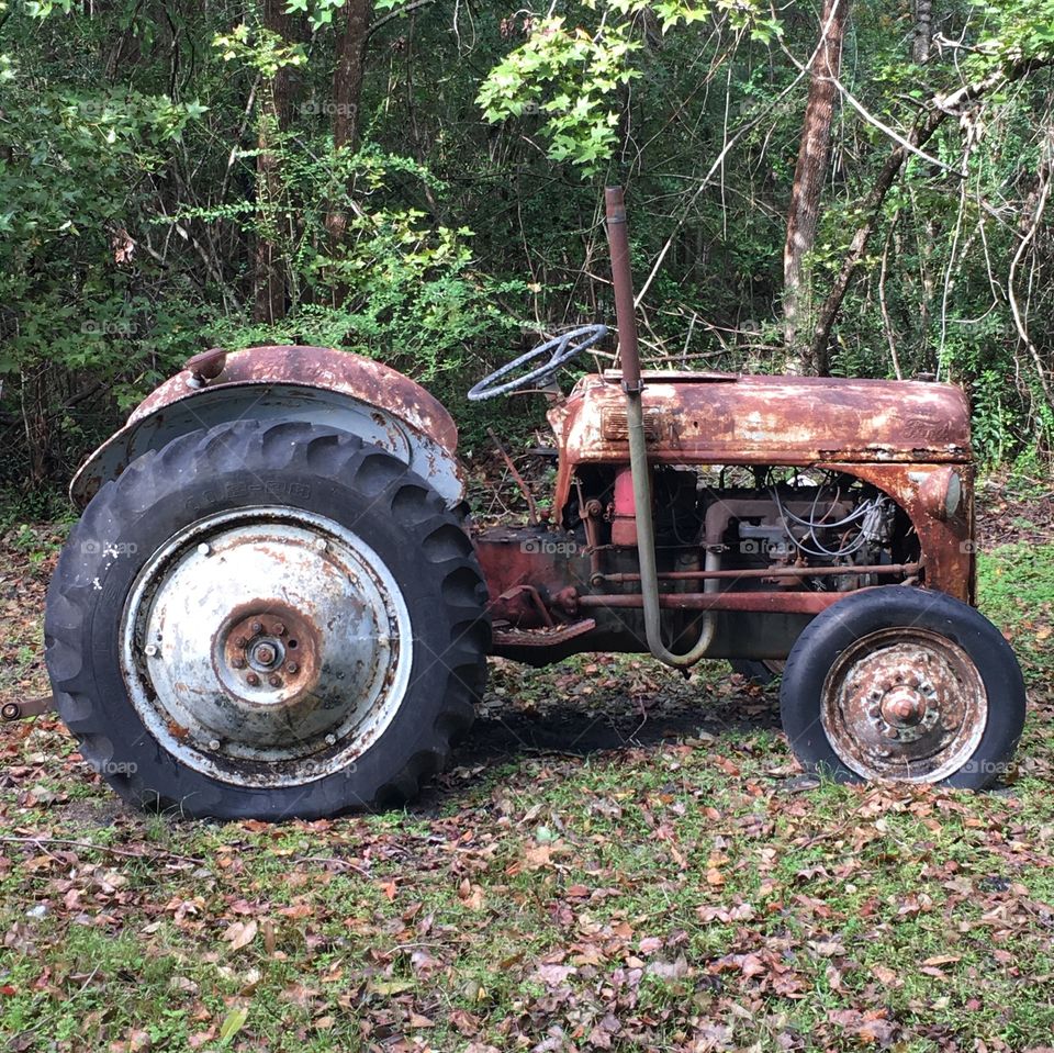 Country living at its best! This vintage tractor made from garden to table possible. Some of the most delicious fruits and vegetables grown in the South East region were planted and harvested by way of this Red Rider!
