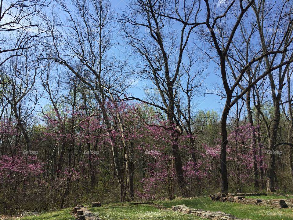 Early spring. Hopewell National Historic Site, Hopewell PA