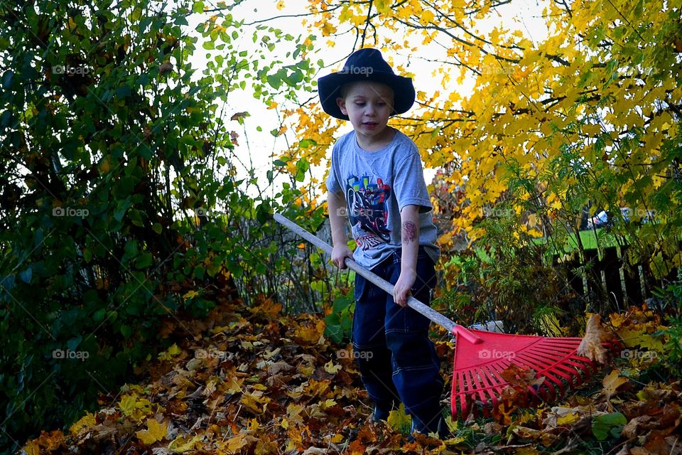 Boy raking leaves