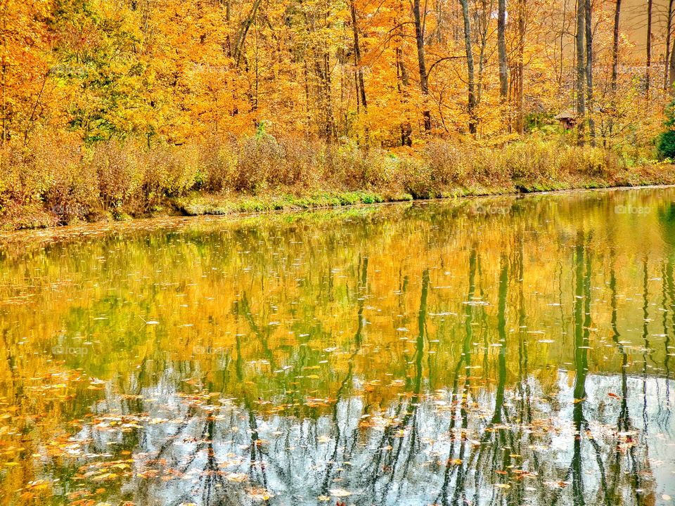 Fall beautiful lake