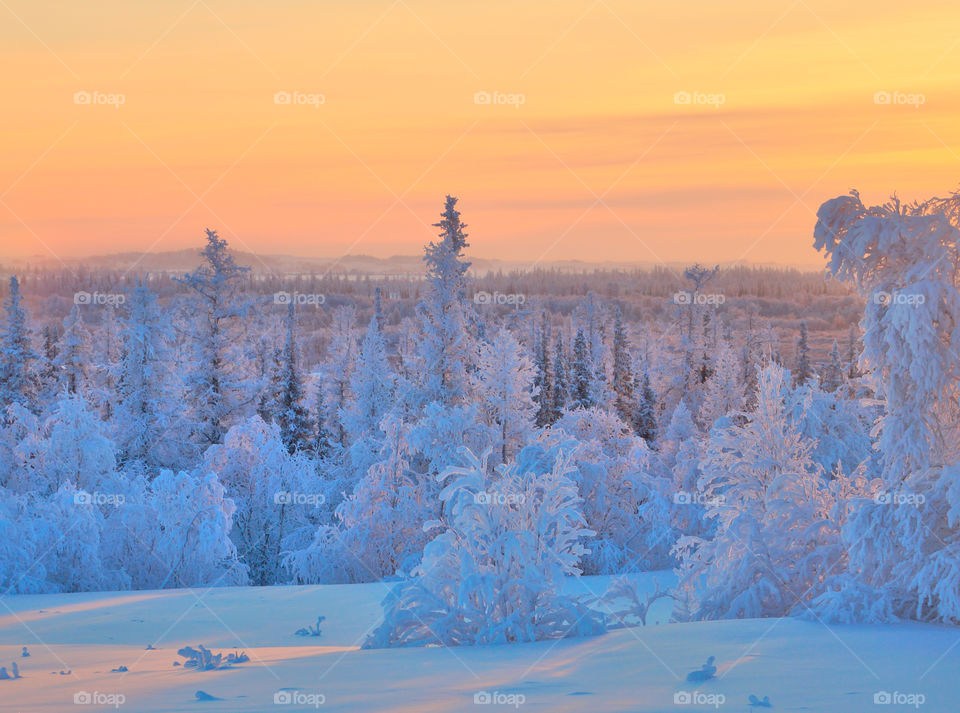 Winter, evening sunset, north, snow, frosty, tundra, ice, winter photo, photo, silence, Arctic, beauty, January, February, sun, walk,