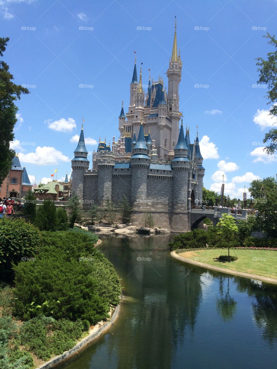 Disney World Castle