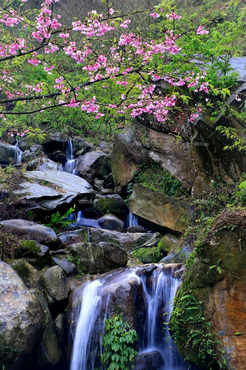 Beautiful valley and water fall natural landscape