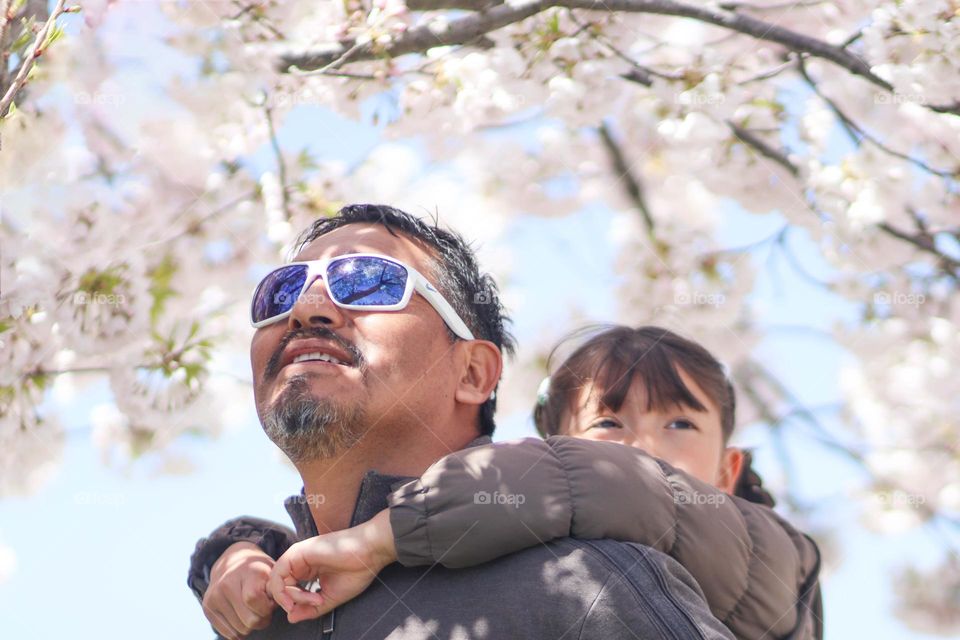 Father and daughter under the blooming cherry tree