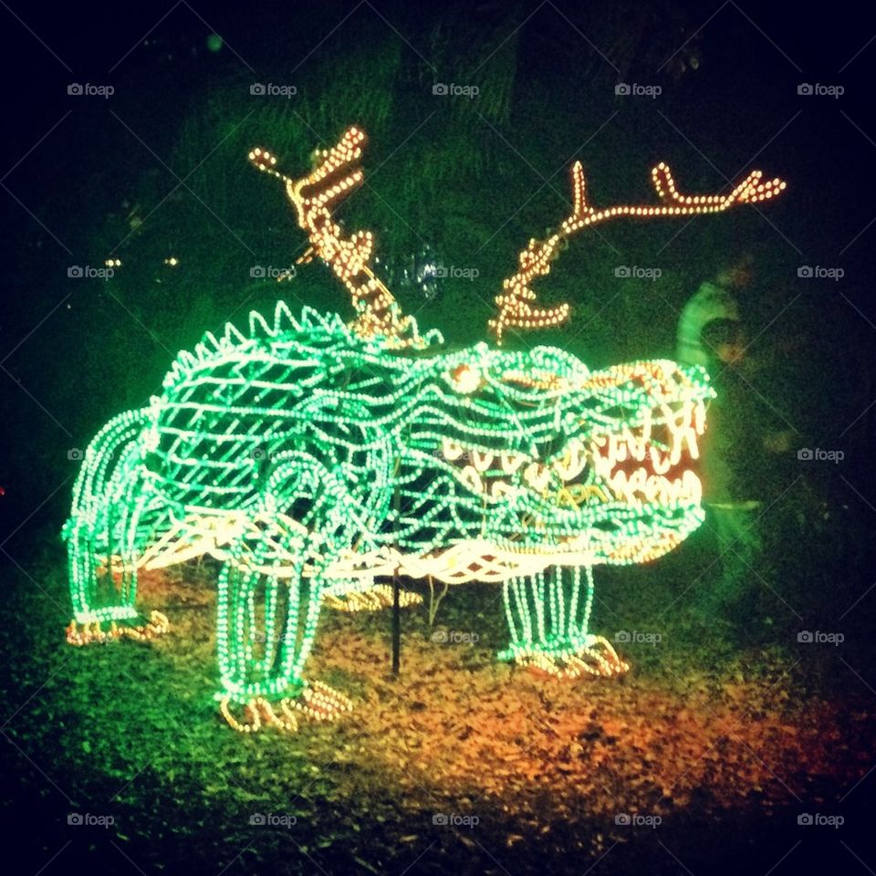 Celebration in the Oaks