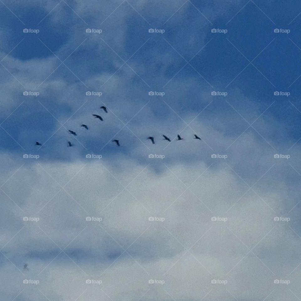 Flying in the blue sky.