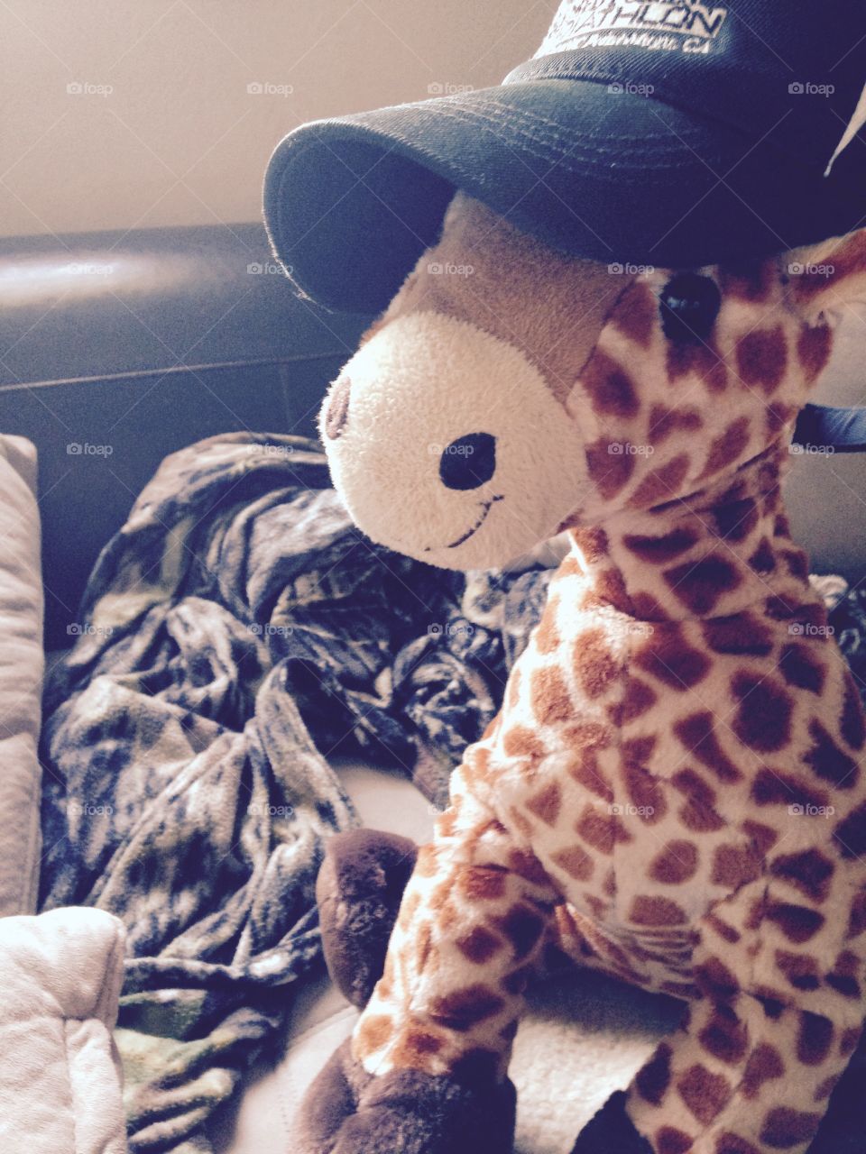 Giraffe with hat
