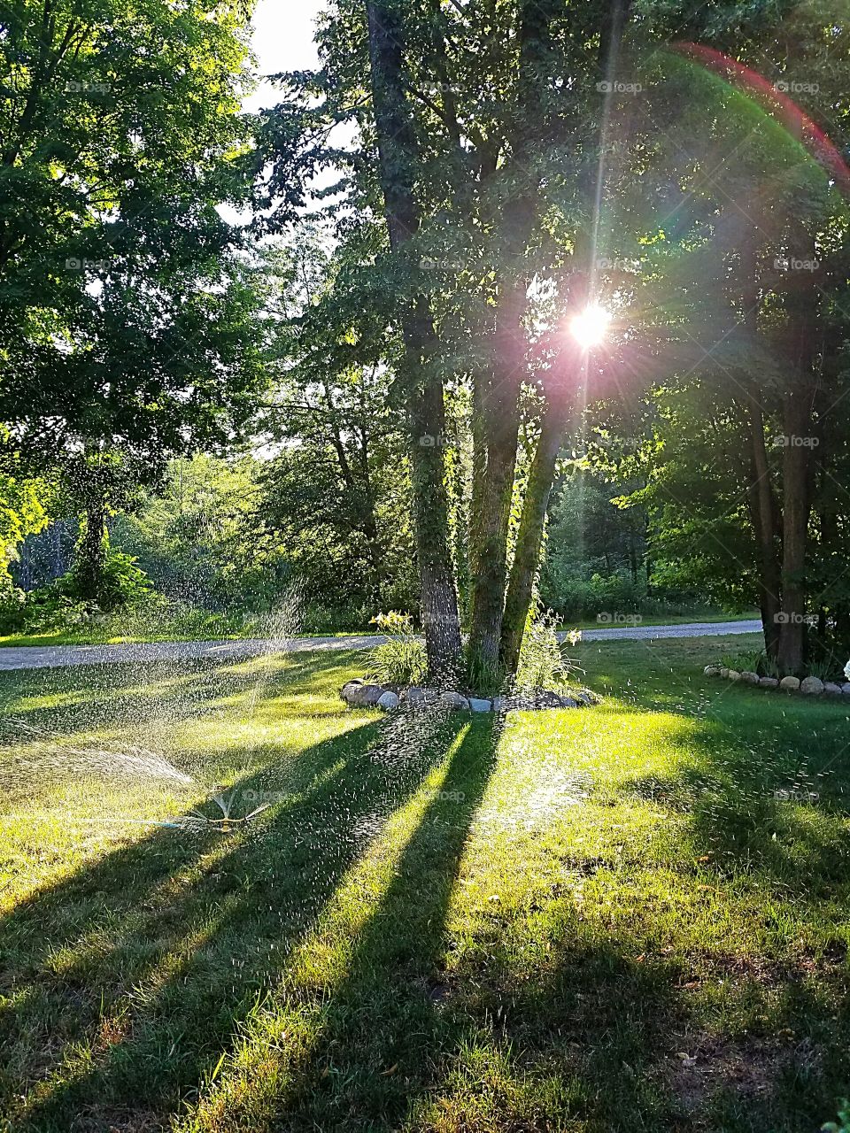 beautiful evening in Michigan