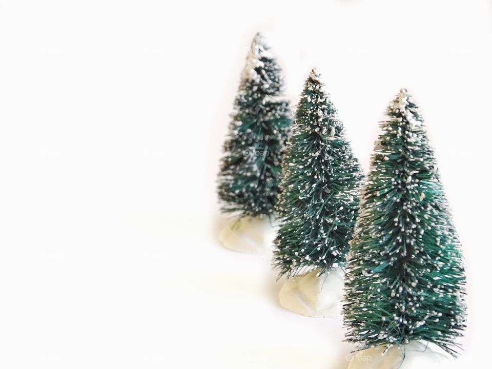 Mini christmas trees