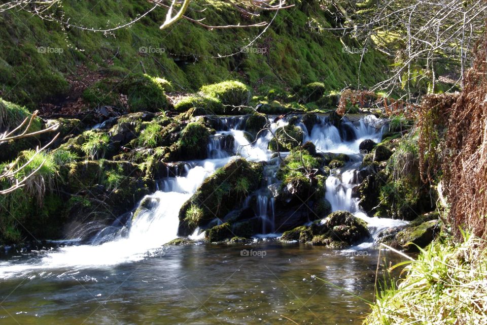 Water, Stream, Waterfall, River, Nature