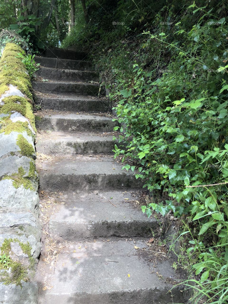 Attractive set of steps leading to a country setting from a city Centre environment In Exeter, Devon.