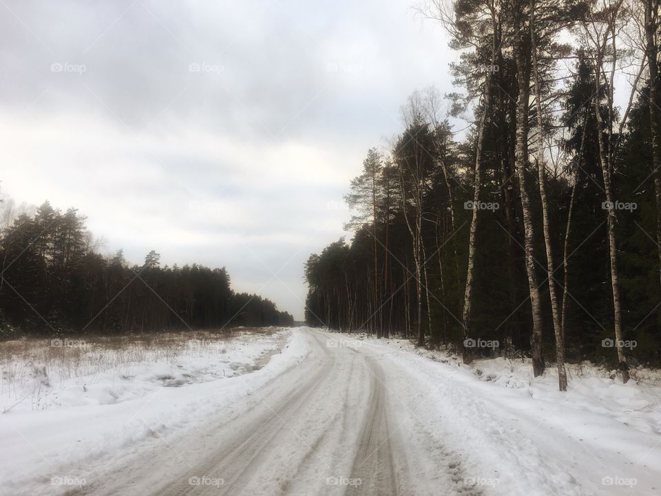 Snowy winter road 