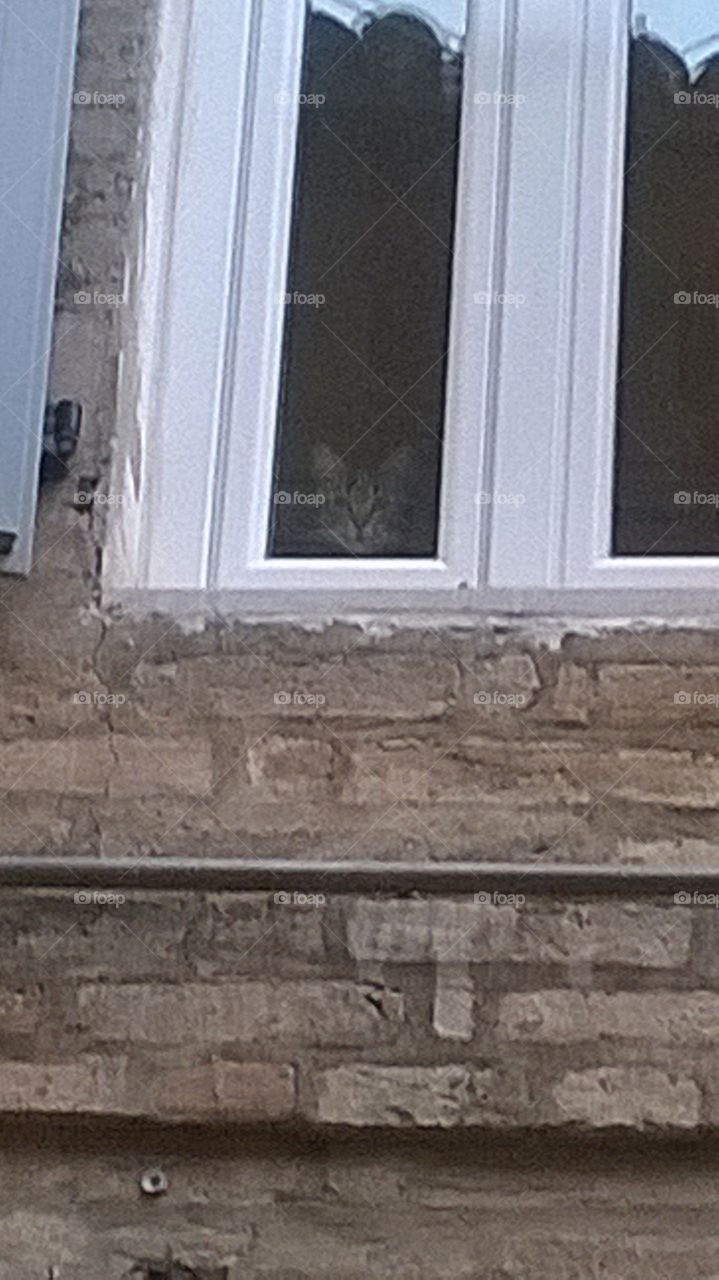 look who shows up, a double salù