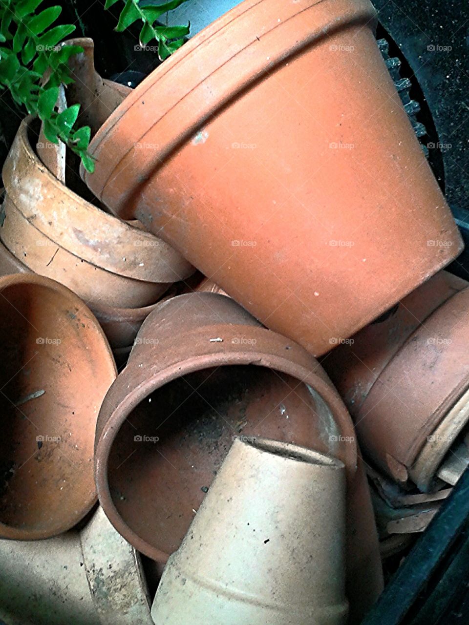 Clay garden pots