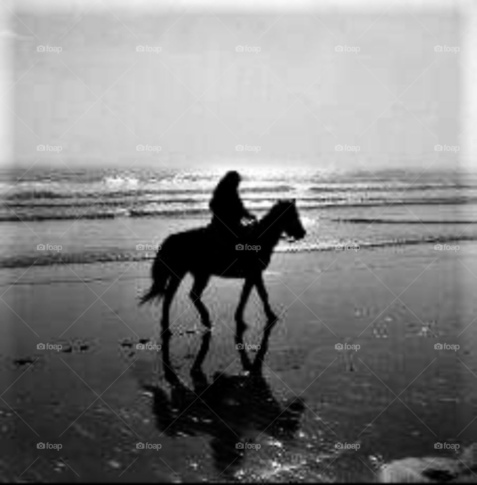 evening ride on the beach