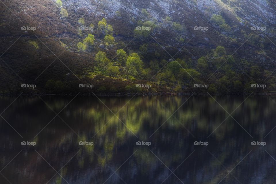 Spring sunlight . Loch Muick