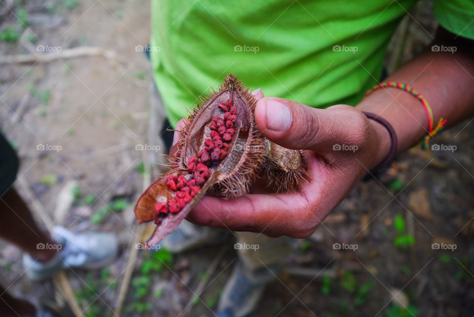 A man hand holding dry berries