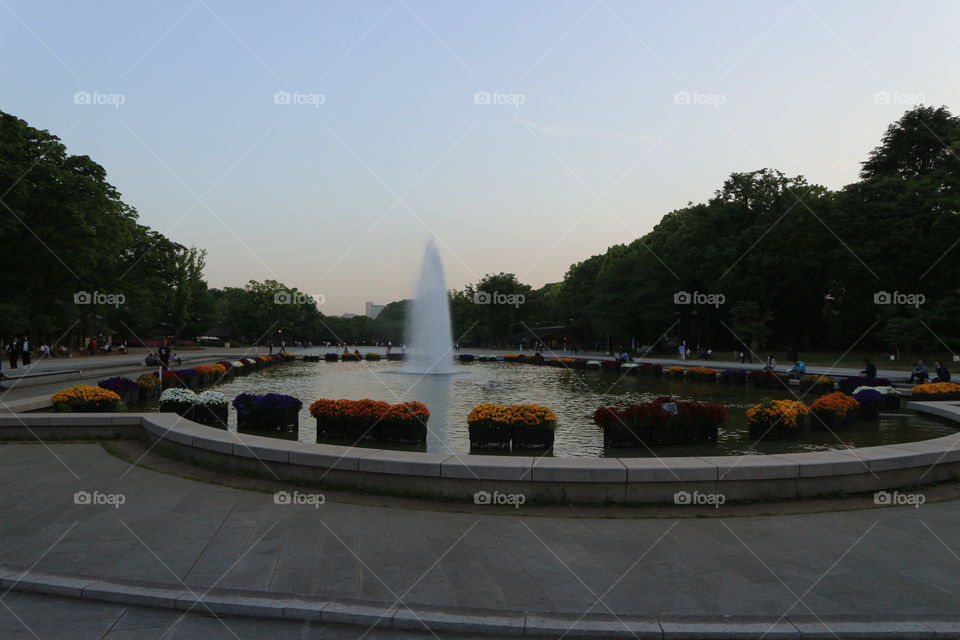 Water fountain at Ueno park ,Japan 