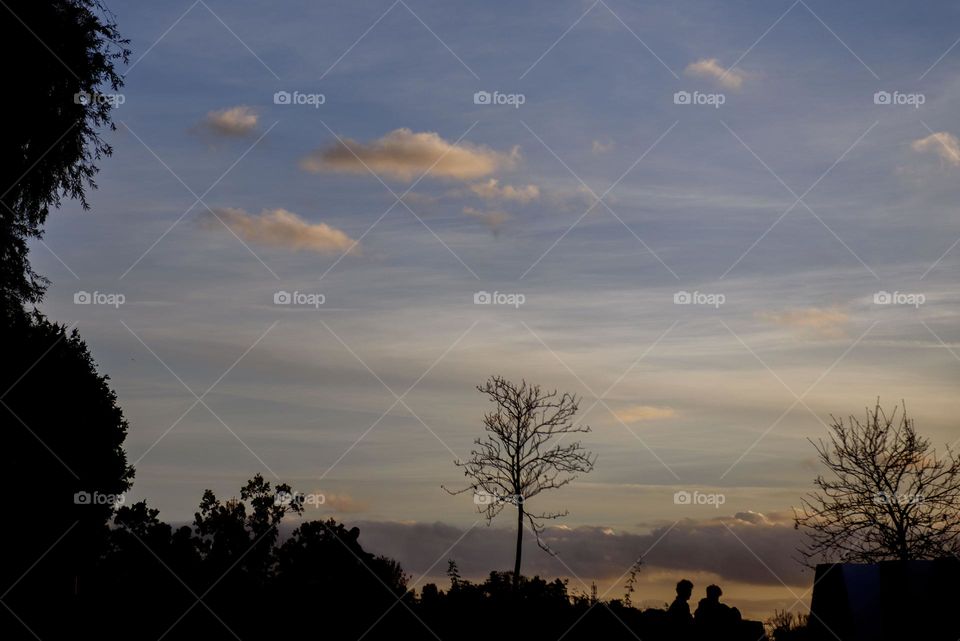 Panorama of the evening sky in the rays of sunset.