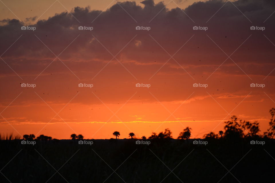 Silhouette of palm trees in the distance against an orange sky after sunset