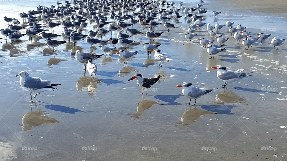 Look at that Traffic